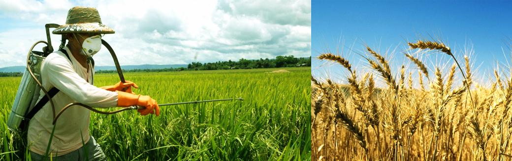 Changzhou Good-job Biochemical Co., Ltd.