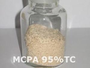 مبيد أم سي بي آيه (MCPA)