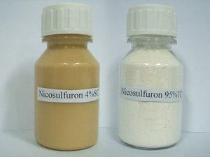 مبيد نيكوسلفيرون