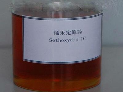 مبيد سيثوكسيديم