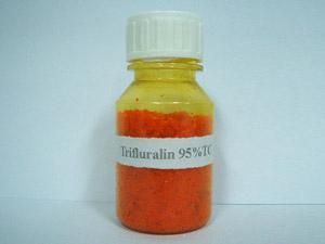 مبيد ترايفلورالين