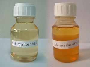 مبيد الكلوربيريفوس